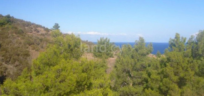 Residential field for sale in Nicosia