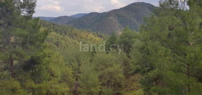 Agricultural field for sale in Nicosia