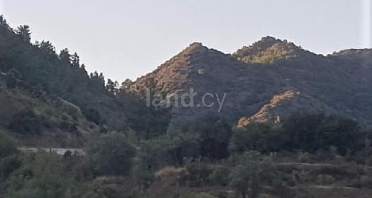 Agricultural field for sale in Nicosia