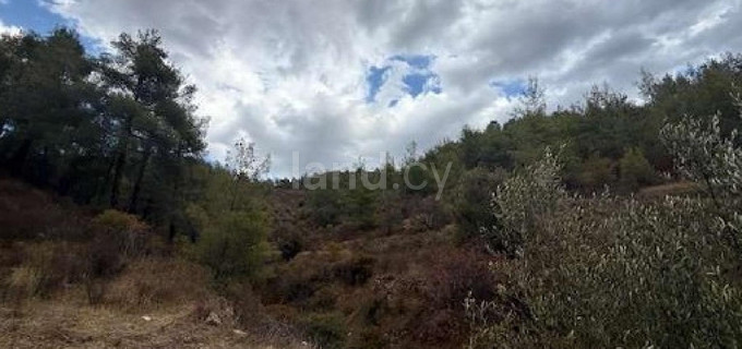 Agricultural field for sale in Nicosia