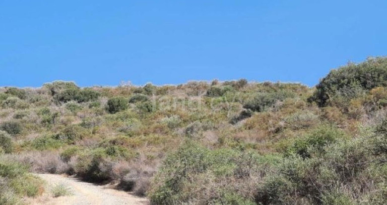 Pole rolne na sprzedaż w Larnaca