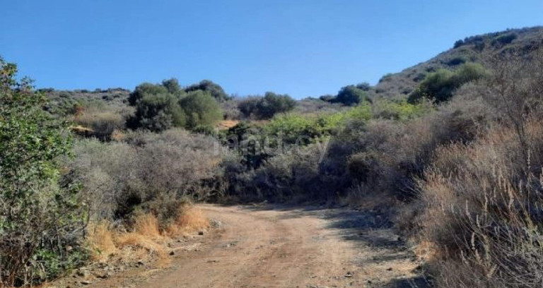 Pole rolne na sprzedaż w Larnaca