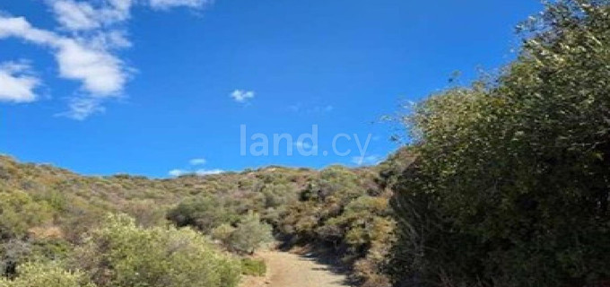 Agricultural field for sale in Larnaca