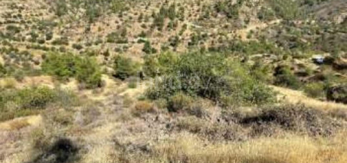 Agricultural field for sale in Nicosia
