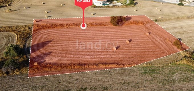 Residential field for sale in Larnaca