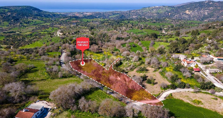 Terrain agricole à vendre à Paphos