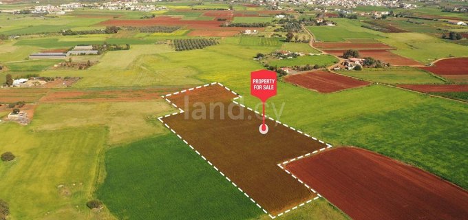 Terrain agricole à vendre à Liopetri