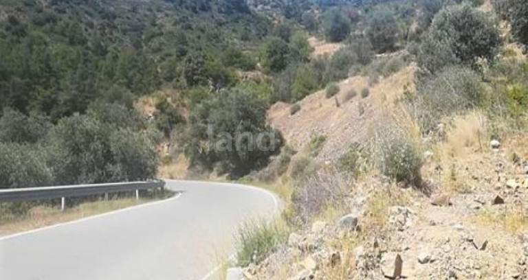 Jordbruksfält till salu i Nicosia