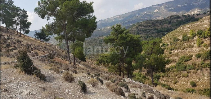 Αγροτικό αγροτεμάχιο προς πώληση - Λεμεσός