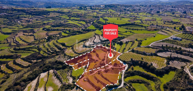Agricultural field for sale in Paphos