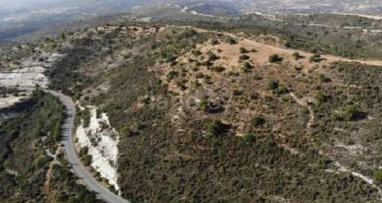 Agricultural field for sale in Larnaca