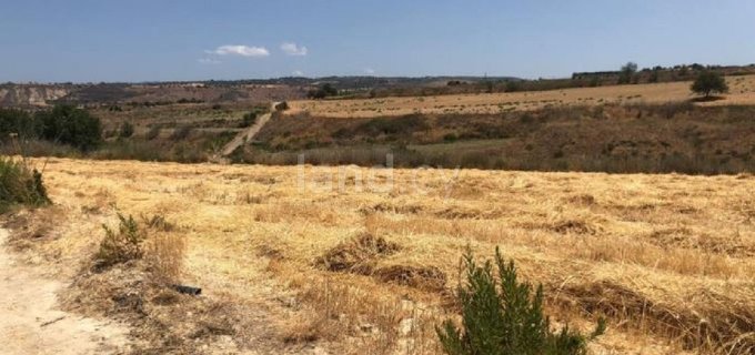 Jordbruksfält till salu i Paphos
