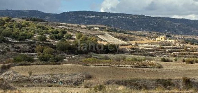Agricultural field for sale in Paphos