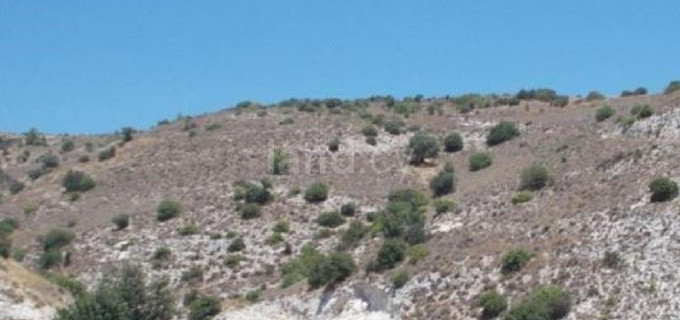 Agricultural field for sale in Paphos