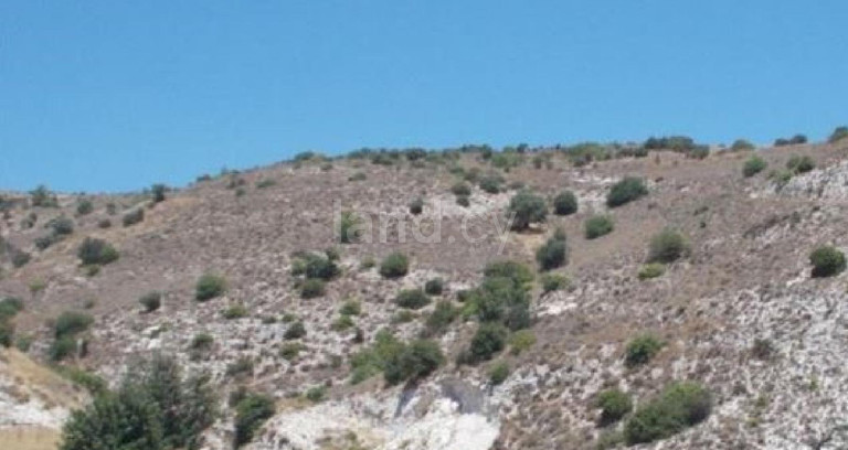 Agricultural field for sale in Paphos