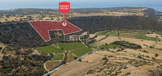 Terrain agricole à vendre à Limassol