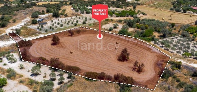 Residential field for sale in Larnaca