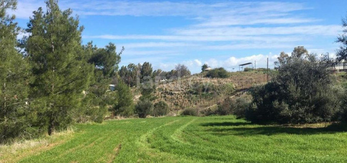 Residential field for sale in Nicosia