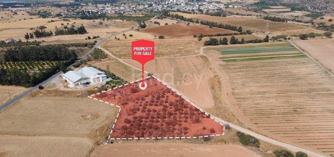 Terrain résidentiel à vendre à Paphos