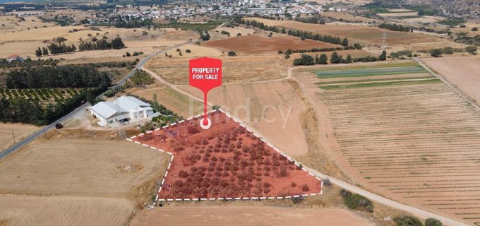 Residential field for sale in Paphos