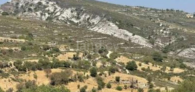 Residential field for sale in Limassol