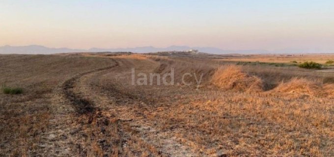 Landwirtschaftliches Baugebiet in Nicosia zu verkaufen