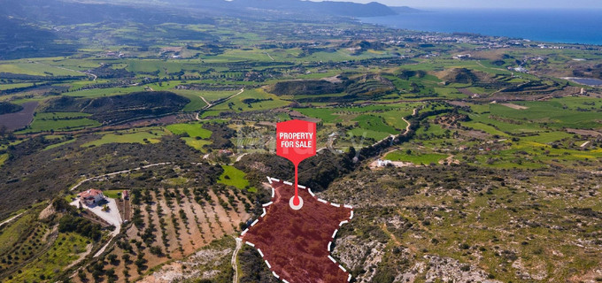 Agricultural field for sale in Paphos