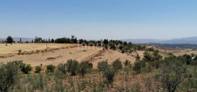 Agricultural field for sale in Paphos
