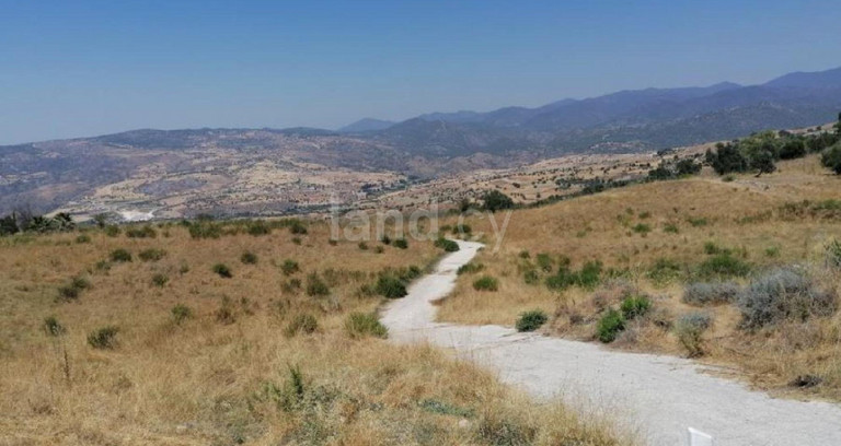 Terrain agricole à vendre à Paphos