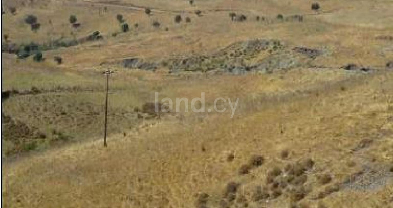 Αγροτικό αγροτεμάχιο προς πώληση - Πάφος