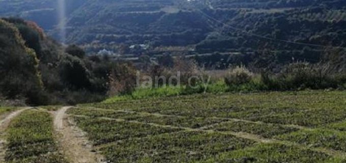 Jordbruksfält till salu i Paphos