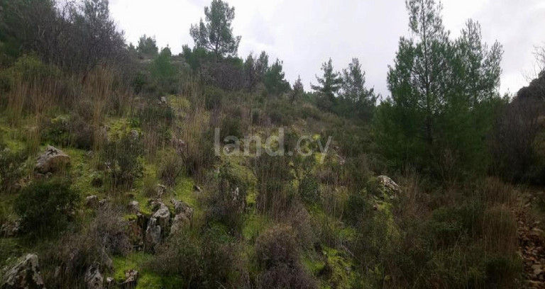 Αγροτικό αγροτεμάχιο προς πώληση - Λευκωσία