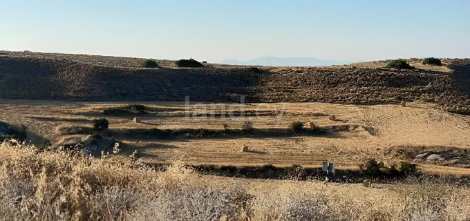 Agricultural field for sale in Nicosia