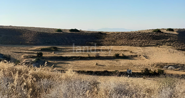 Agricultural field for sale in Nicosia