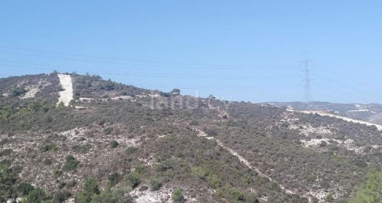 Pole rolne na sprzedaż w Larnaca