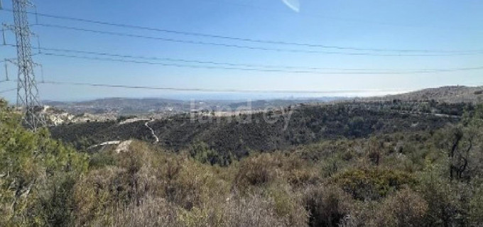 Agricultural field for sale in Larnaca