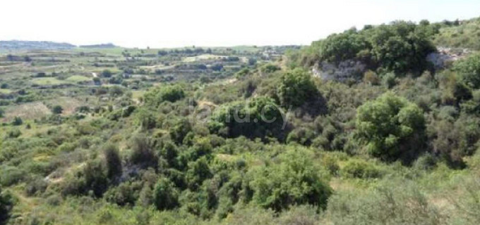 Agricultural field for sale in Paphos