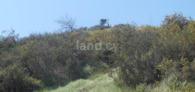 Residential field for sale in Nicosia