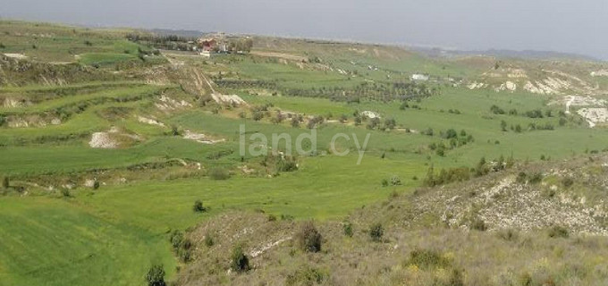 Agricultural field for sale in Nicosia