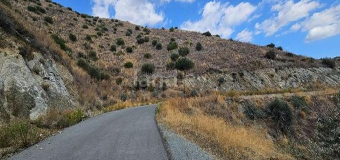 Agricultural field for sale in Larnaca