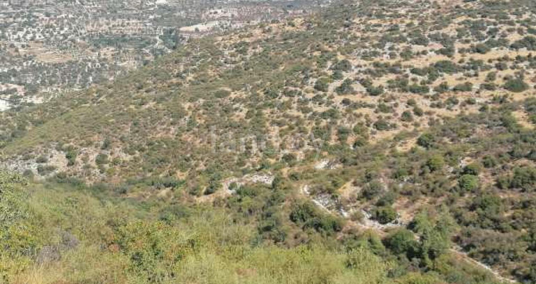 Αγροτικό αγροτεμάχιο προς πώληση - Λεμεσός