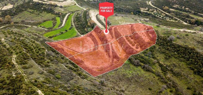 Agricultural field for sale in Limassol