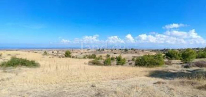 Agricultural field for sale in Nicosia