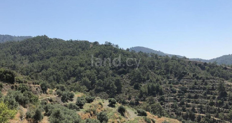 Agricultural field for sale in Larnaca