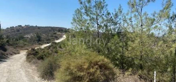 Agricultural field for sale in Larnaca