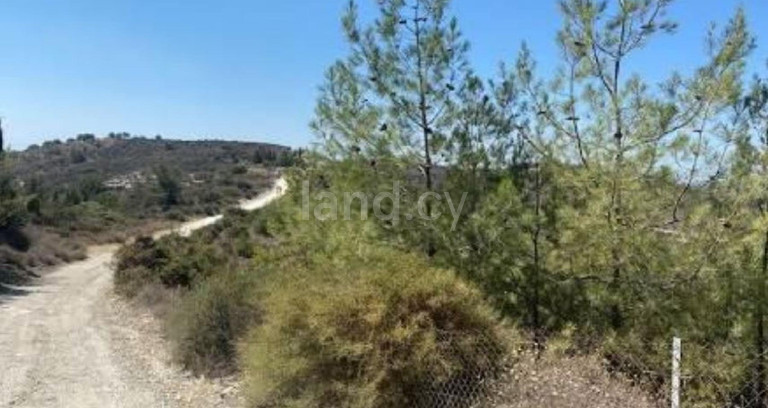 Pole rolne na sprzedaż w Larnaca