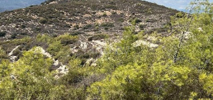Agricultural field for sale in Larnaca