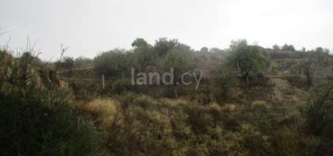 Agricultural field for sale in Paphos