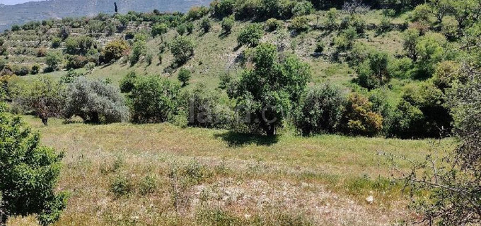 Жилое поле на продажу в Лимассол