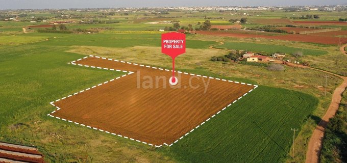 Terrain agricole à vendre à Frenaros